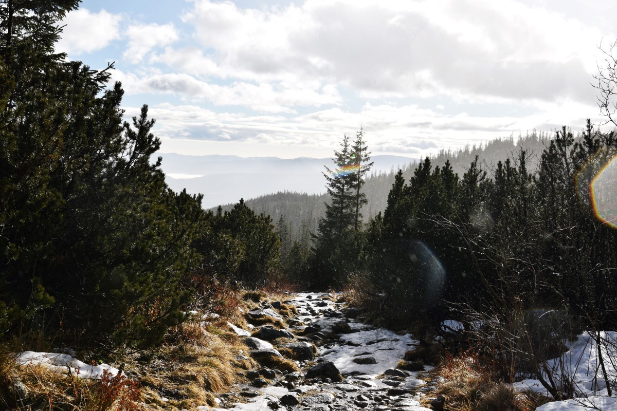 Hohe Tatra Wanderung Winter