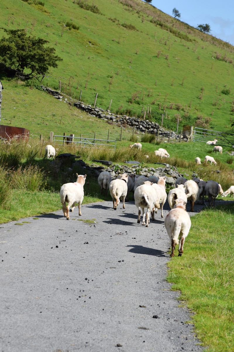 Rundreise Wales