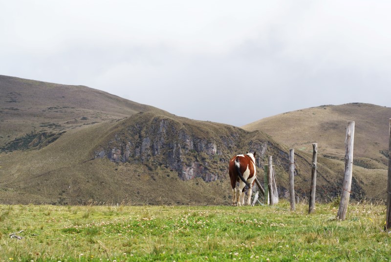 Antisana Ecuador