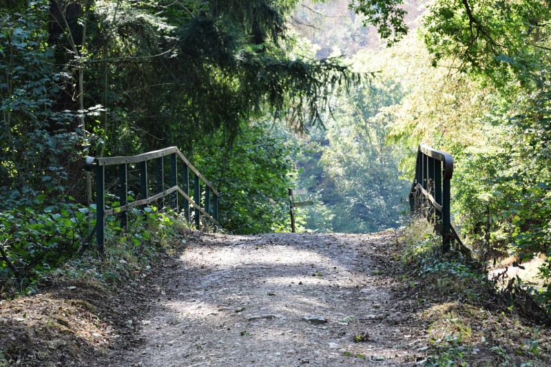 Traumpfad Eltzer Burgpanorama