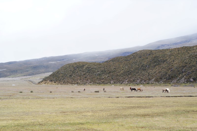 Cotopaxi Nationalpark